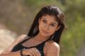 Actress Nayanthara Latest Hot Stills in Black Dress