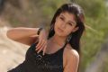 Actress Nayanthara Latest Hot Stills in Black Dress