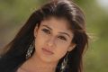 Actress Nayanthara Latest Hot Stills in Black Dress