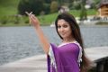 Actress Nayanthara Hot in Greeku Veerudu Stills