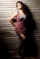 Actress Nayanthara New Hot Photo Shoot Stills