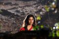 Tamil Actress Nayanthara Recent Pictures