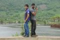 Nede Vidudala Telugu Movie Gallery