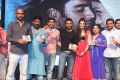 Nee Jathaga Nenundali Audio Launch Stills