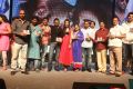 Nee Jathaga Nenundali Audio Launch Stills