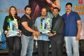 Nee Jathaga Nenundali Platinum Disc Function Stills