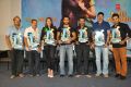 Nee Jathaga Nenundali Platinum Disc Function Stills