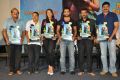 Nee Jathaga Nenundali Platinum Disc Function Stills