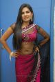 Telugu Actress Neelam Shetty in Saree Hot Stills