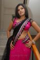 Actress Neelam Shetty Saree Hot Stills