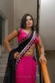 Telugu Actress Neelam Shetty in Saree Hot Stills