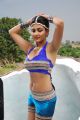 Actress Neelam Upadhyay Hot Stills in Action 3D Movie