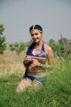 Actress Neelam Upadhyay Hot Stills in Action 3D Movie