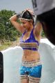 Action 3D Movie Actress Neelam Upadhyaya Hot Stills