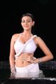 Actress Neelam Upadhyaya Hot Stills in Action 3D Movie