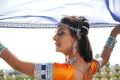 Action 3D Movie Actress Neelam Upadhyaya Hot Stills