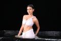 Actress Neelam Upadhyaya Hot Stills in Action 3D Movie