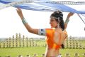 Actress Neelam Upadhyay Hot Stills in Action 3D Movie