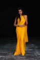 Actress Neelam Upadhyay in Yellow Saree Bikini Blouse Hot Images