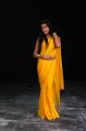 Neelam Upadhyay Hot Images in Yellow Bikini Blouse & Saree