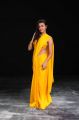 Neelam Upadhyay Hot Images in Yellow Bikini Blouse & Saree