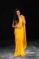 Actress Neelam Upadhyaya Hot in Yellow Saree Images