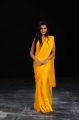 Neelam Upadhyaya Hot Yellow Saree Images in Action 3D Movie