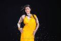 Neelam Upadhyaya Hot Images in Yellow Saree with Bikini Style Blouse