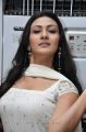 Neelam Upadhyay Pics in White Salwar Kameez