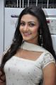 Neelam Upadhyaya Latest Photoshoot Gallery