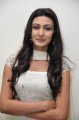 Neelam Upadhyay at Mr Seven Logo Launch