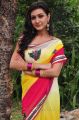 Neelam Upadhyaya Saree Photos @ Tamasha Movie Launch