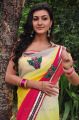 Tamasha Heroine Neelam Upadhyay Saree Photos