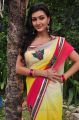 Neelam Upadhyaya Saree Photos @ Tamasha Movie Opening