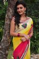 Tamasha Heroine Neelam Upadhyay Saree Photos