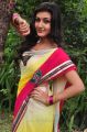 Actress Neelam Upadhyay in Saree Photos @ Tamasha Launch