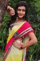 Neelam Upadhyay Saree Photos @ Tamasha Movie Launch