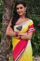 Neelam Upadhyaya Saree Photos @ Tamasha Movie Launch