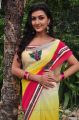 Tamasha Heroine Neelam Upadhyay Saree Photos