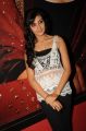 Neelam Upadhyaya Hot Images @ Action 3D Songs Projection Press Meet