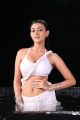 Action 3D Movie Actress Neelam Upadhyay Hot Wet Photos