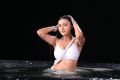 Action 3D Heroine Neelam Upadhyaya posing Hot in White Saree