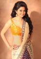 Tamil Actress Neelima Rani Hot Photoshoot Pics