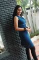 Tamil Serial Actress Neelima Rani Hot Photos