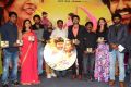 Neerajanam Movie Audio Launch Stills