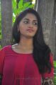 Actress Sunaina at Neerparavai Movie Press Meet Stills