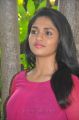 Actress Sunaina at Neerparavai Press Meet Stills