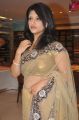 Supriya in Hot Saree at Neeru's Elite 6th Anniversary Celebrations Stills