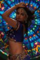 Neetu Chandra Item Song Hot Stills in Crazy Movie