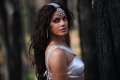 Khiladi Heroine Neetu Chandra Hot Pics